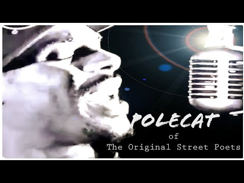 The Original Street Poets #Polecat🐾 [Definition]