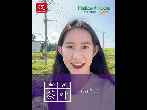 Learn Chinese in 1 min: How to say "tea leaf" in Chinese?