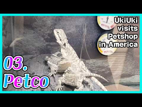 Petco Locations Los Angeles