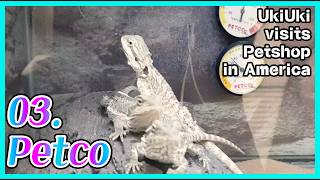 Inside Petco Los Angeles in 2018 | U.S. Pet Store Tour