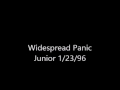 Widespread Panic- Junior 1/23/96