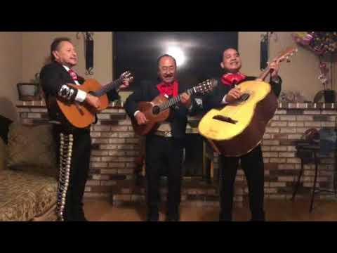 Promotional video thumbnail 3 for Trio Jalisco
