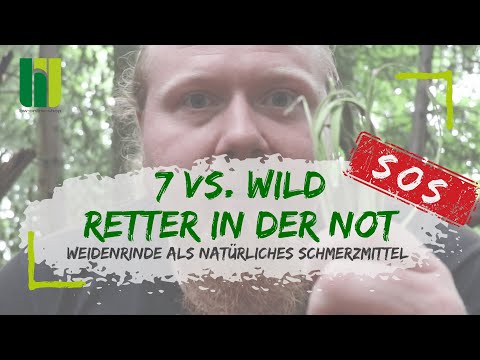 7 VS. WILD NOTSITUATION - Wundermittel Weidenrinde als ultimative Survival-Medizin in der Wildnis 🌳