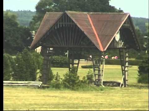 KO, 1. 8. 2015, 4. dostih - CENA POJIŠŤOVNY KOOPERATIVA a.s. VIENNA INSURANCE GROUP