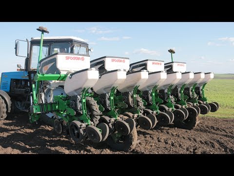 Работа сеялки Sigma 5 Sfoggia в Одесской области