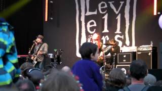 The Levellers - A Life Less Ordinary (live at Wychwood festival - 31st May 14)