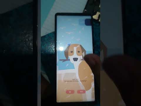 Testing LCD TFT XPERIA 5 IV