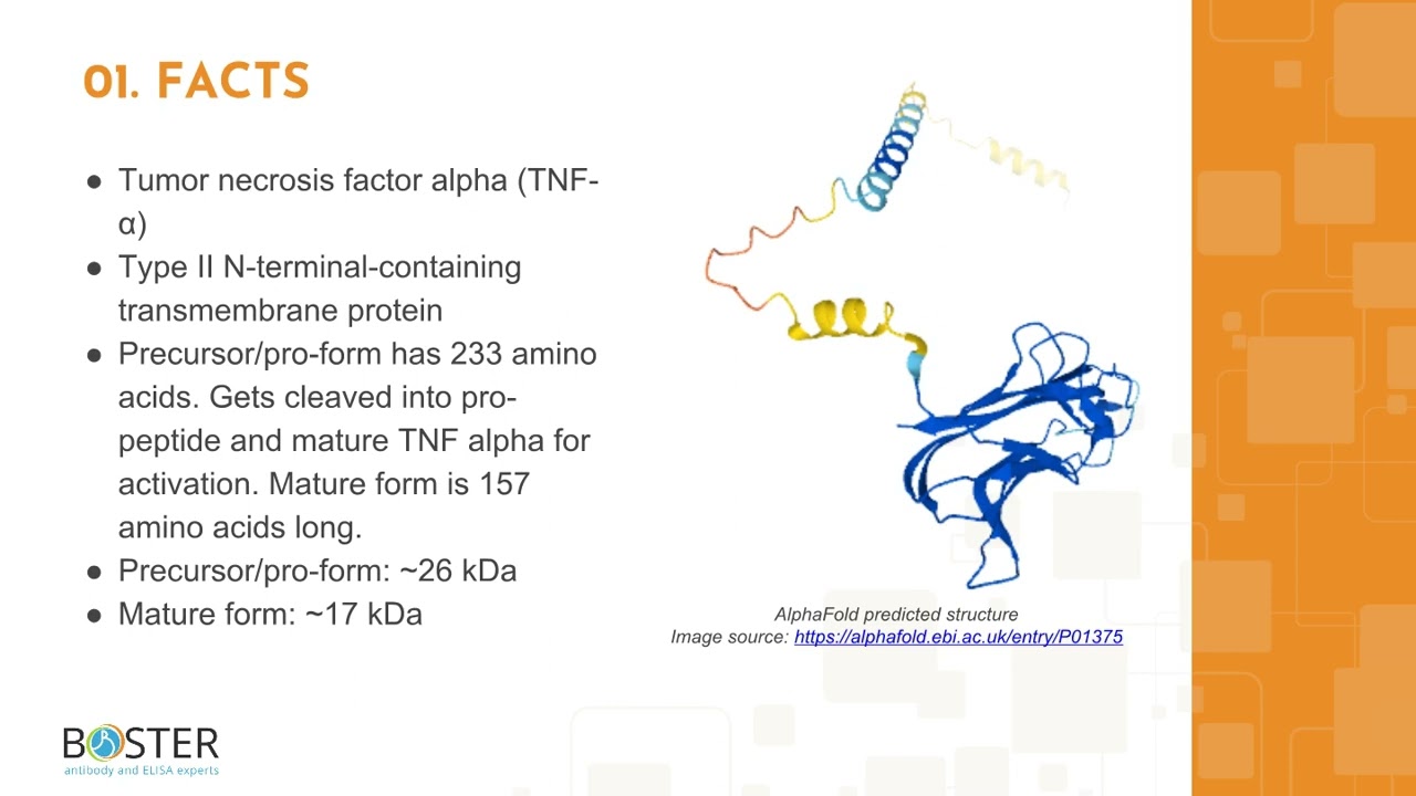 Learn TNF Alpha in 3 minutes | Tumor necrosis factor alpha, TNFA