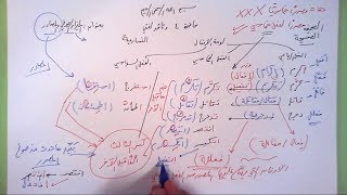 4 ➤   الميزان الصرفي والمصادر image