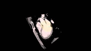 Virtual Journey Through the Heart