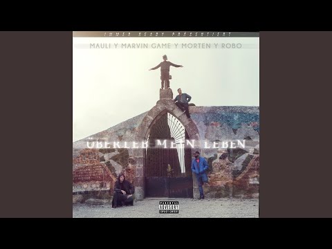 Überleb mein Leben (feat. Mauli, Marvin Game, Robo)
