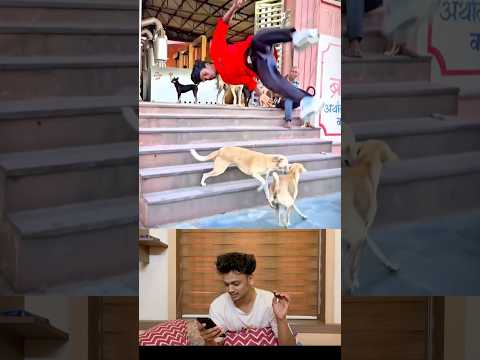 തെരുവ് നായ്കളുടെ അടുത്താണ് അവന്റെ കളി 😂😱 His play is with stray dogs. 🦮🤸‍♂️