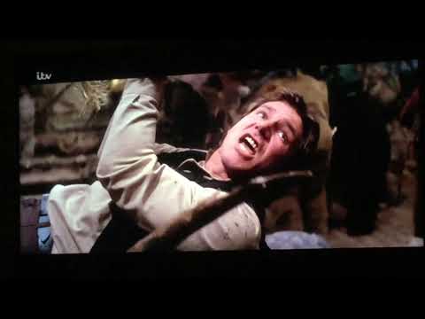 Ewok Treehouse scene The Return of the Jedi