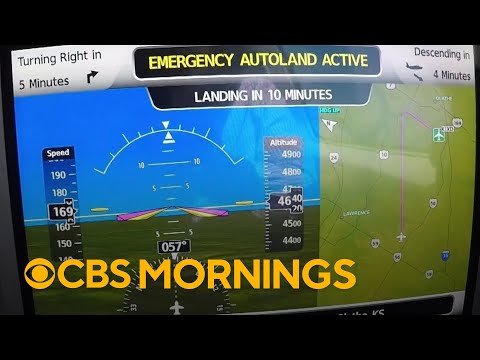 Small plane makes emergency landing with first use of Autoland system