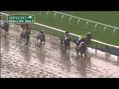 Gomo wins the 2015 Darley Alcibiades (G1)