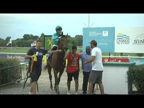 SINT COLONIA 230202 c11 1° DON BIMBO