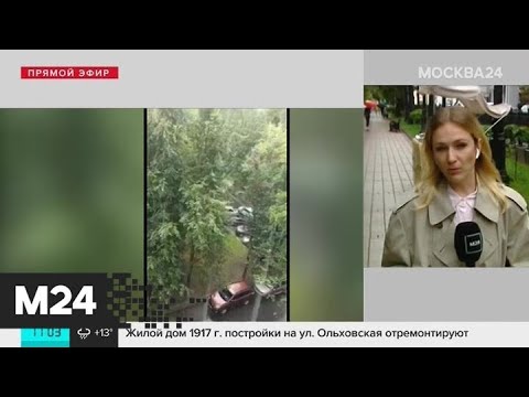 В Москву пришло похолодание - Москва 24