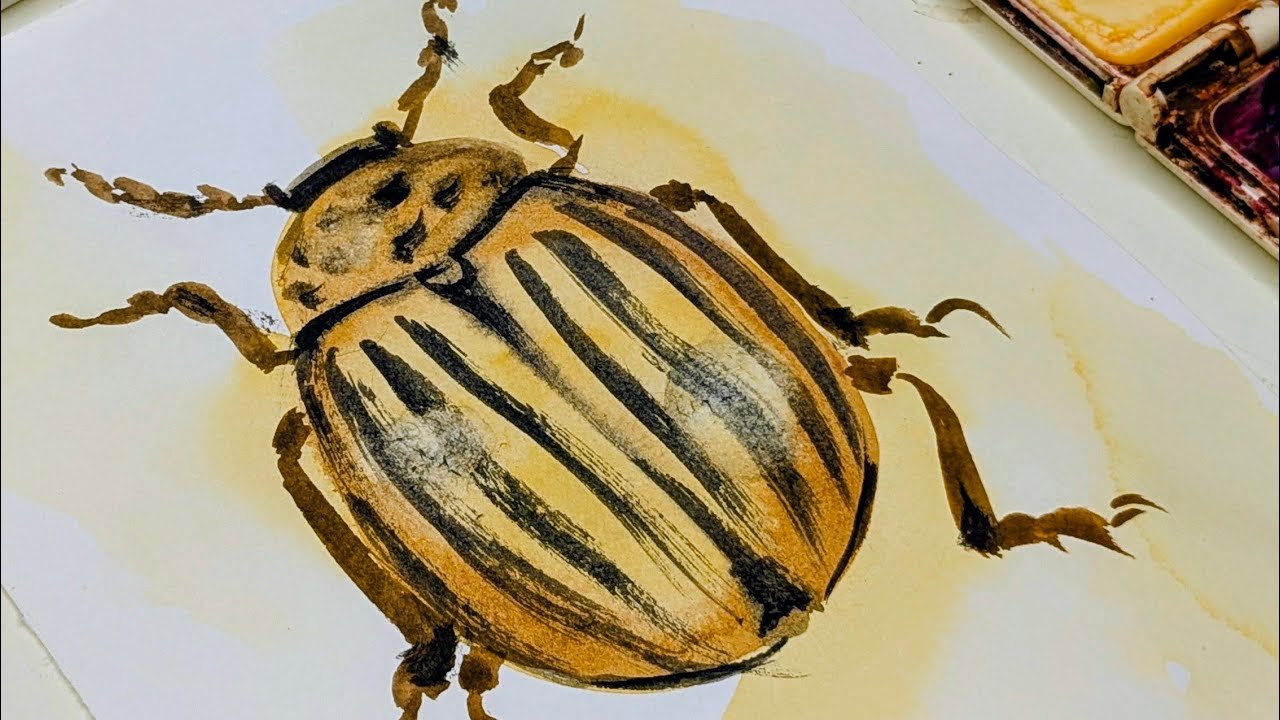 Unusual Art Tool! 🥤🎨 Watercolour Beetle Painting Hack | Watercolor Insect Painting Tutorial 