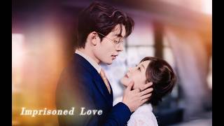 In a past life, he died for my love; in this life, I monopolize his crazy affection.