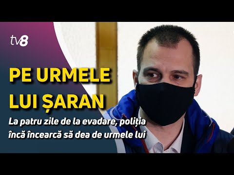 Știri: Pe urmele lui Șăran /Șoltoianu, reținut din nou /11.04.2023