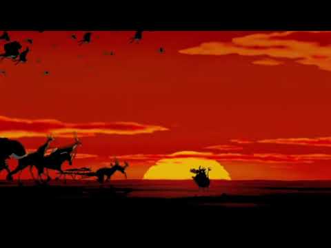 Animals stampede part 1