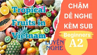 Luyện Nghe Tiếng Anh Cơ Bản A2 | Tropical Fruits in Vietnam | English Podcast