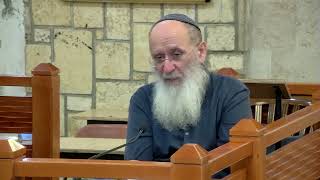 סיום ספר יהושע – שיעור 82 – ספר יהושע פרק כ"ד