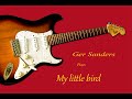 My little bird (Andy Tielman instrumental cover)