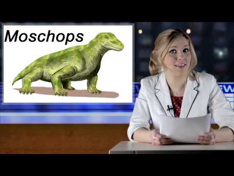 A brief history of life on earth