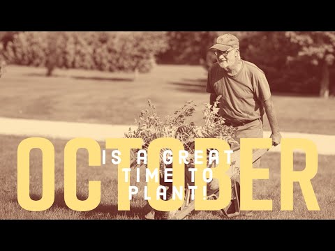 A Residential Planting  Episode #191