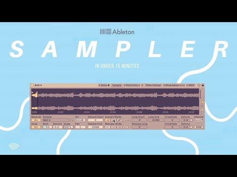 Ableton Sampler: How To Use In Under 15 Minutes