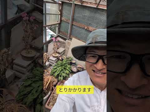 親が処分できなかったプランター植木鉢の土回収｜かなんな農園