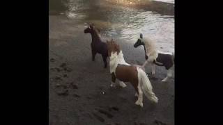 Wild Horse-By:Raelynn-music video-