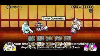 How to defeat catclaw dojo rank 8 test 1 (battle cats)