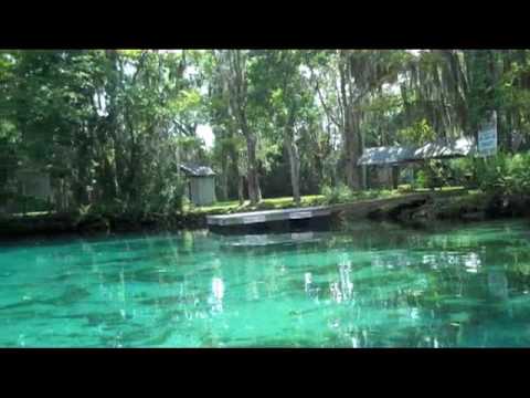 Gainesville Day Trip: Kayaking Crystal River, FL