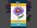 aster - a plant with star-shaped... video thumbnail