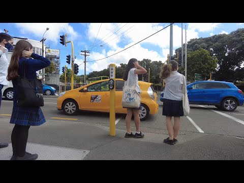 (4k) Afternoon walk. War Memorial Park - Basin Reserve bus stop. Wellington, NZ. November 2022