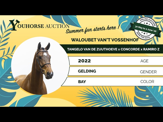 Waloubet van’t vossenhof