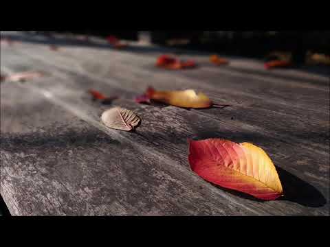 Beat Ballistick - Autumnal Chord (Original Mix)