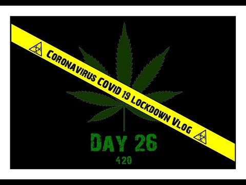 Coronavirus COVID 19 Lockdown Vlog Day 26 420