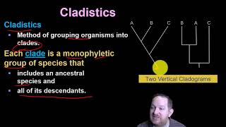 41.  Systematics Phylogeny and Cladistics