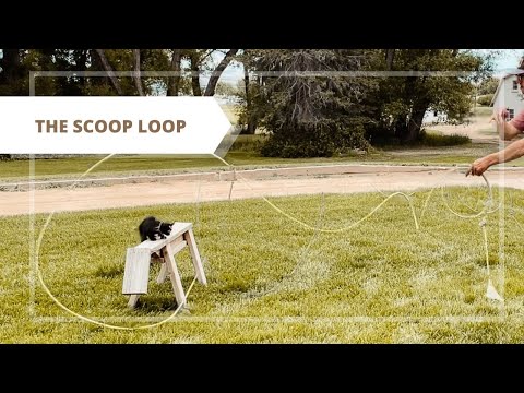 The Scoop Loop