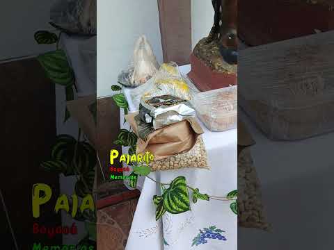 Celebración a san Isidro Labrador (#2)  07/12/2025