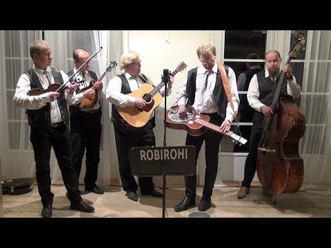 ROBIROHI (solist INDREK VAINU) (2017) - Langend lehed (Falling Leaves)