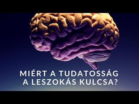leszokni a dohányzásról, amikor az agy