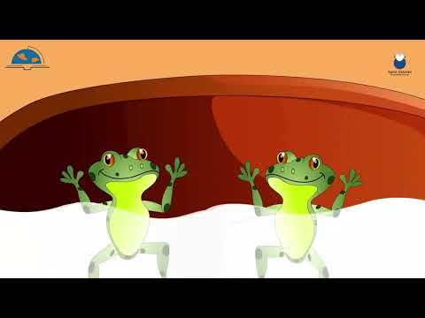 📚 Priče za djecu - Uporna žabica