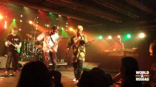 Black Prophet live 2012 - Addiction / Tribulations - Petrol Antwerpen