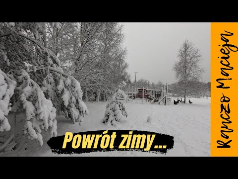 Perliki już spokojne. Atak zimy #216