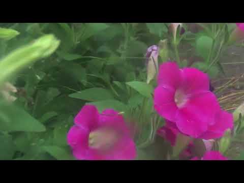 Video thumbnail for BAD BOY (Original Concept)