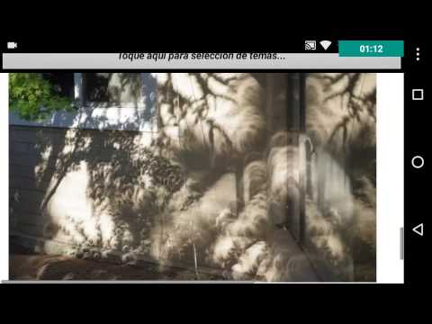 Eclipse solar 26 Febrero 2017 Video